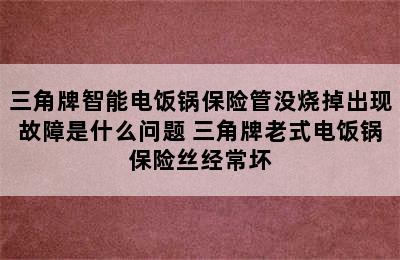 三角牌智能电饭锅保险管没烧掉出现故障是什么问题 三角牌老式电饭锅保险丝经常坏